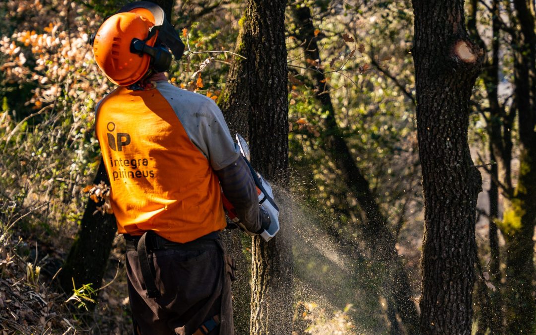 Mètriques i calculadora ambiental per a la gestió forestal