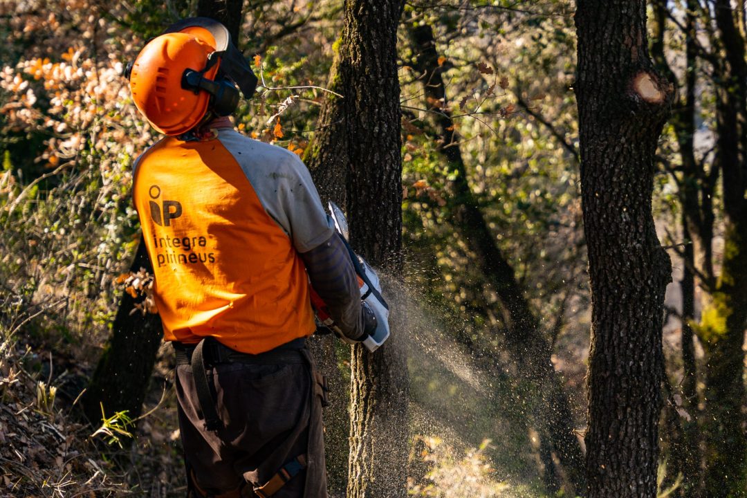 Mètriques i calculadora ambiental per a la gestió forestal