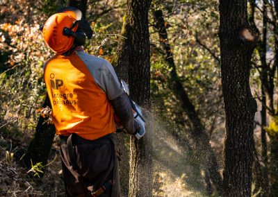 Mètriques i calculadora ambiental per a la gestió forestal